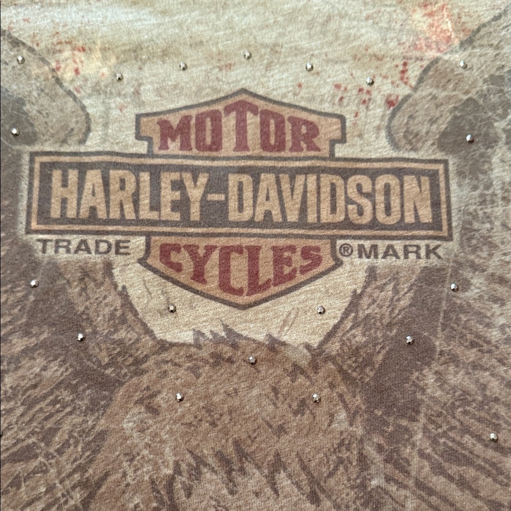 Harley-Davidson Women's Brown Graphic Tee